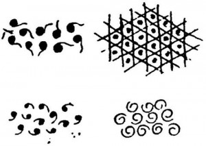 常见古玉器纹饰（图1） 各种谷纹