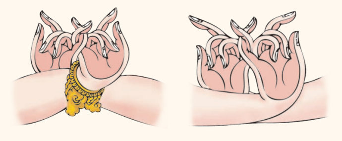 【四摄印】两手交叉，掌心向外，大拇指和食指竖起，两个小拇指勾在一起，中指和无名指自然弯曲。