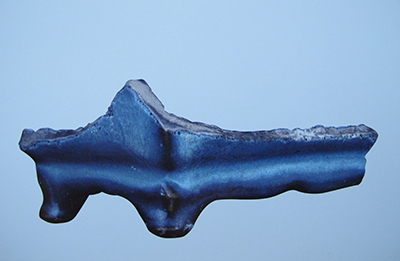 图3  钧窑天蓝釉长方花盆残片 2005年7月北京西城区皇城根毛家湾1号院出土