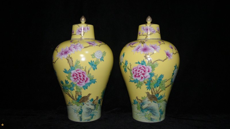 乾隆时期珐琅彩瓷器特征。此瓶在色地上彩绘洋花，凸显画珐琅效果，所绘牡丹图案，又为中国传统的绘画技法。