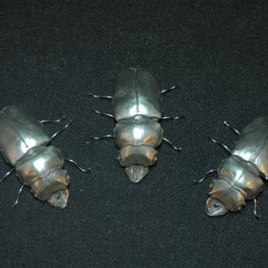 银 大甲虫摆件