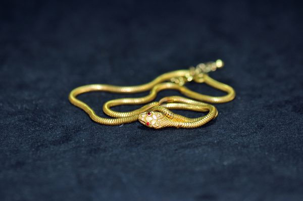 蛇形金項鍊