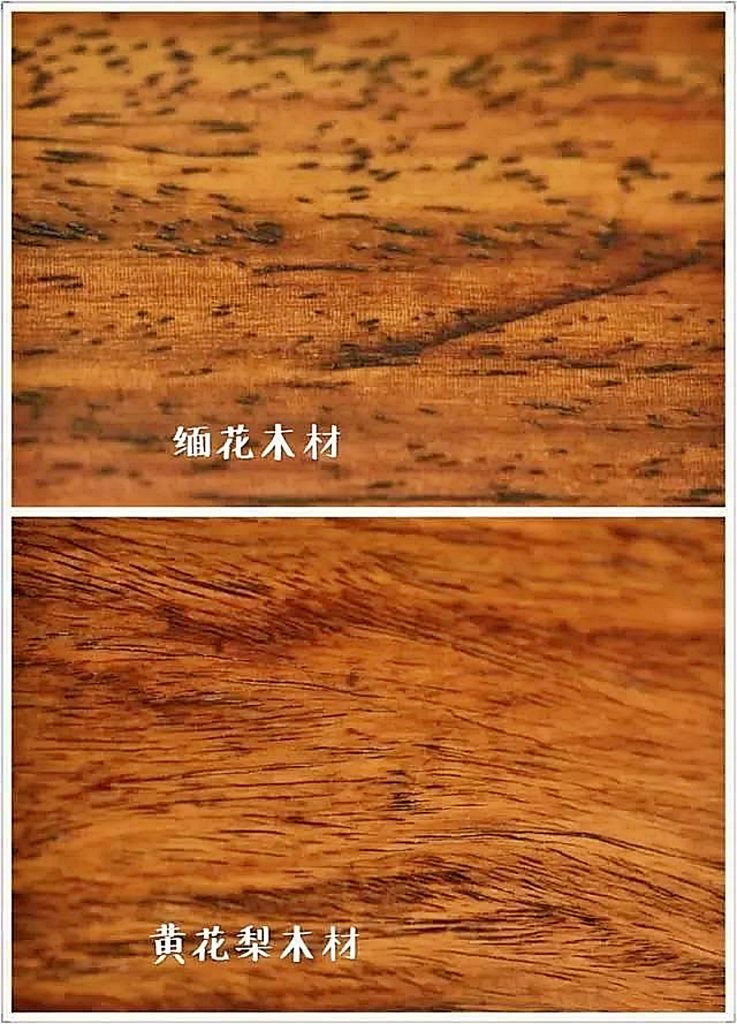 木材密度对比图